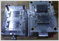 Mold picture